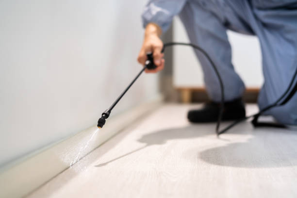 Licensed Pest Control service in Nelsonville, OH - Show Me Pest Control