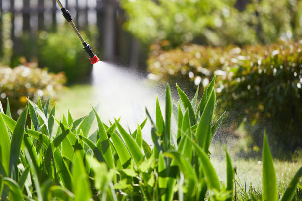 24/7 Emergency Wasp Removal experts in Nelsonville, OH