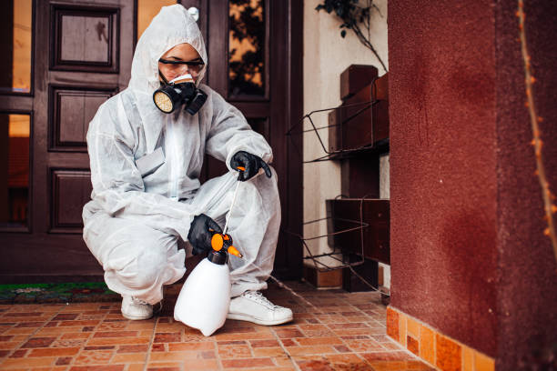 Reliable Wasp Removal contractor in Nelsonville, OH by Show Me Pest Control